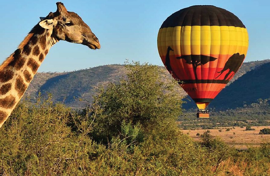 تور  سان سیتی بهمن 1404 - 8 شب / امارات